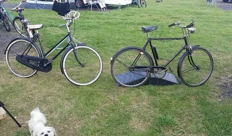 The black Raleigh beside a black ladies' roadster on a campsite, with a small white dog in front