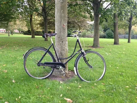 Black ladies' roadster with a sprung saddle, leaning on a tree in a park