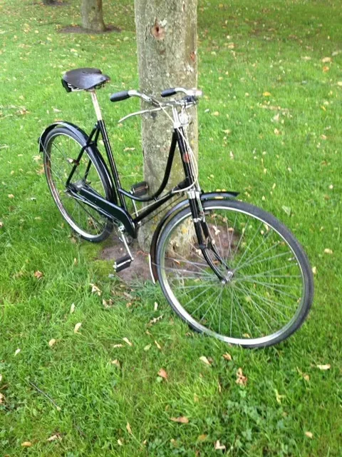 The black ladies' roadster from the front, leaning on a tree