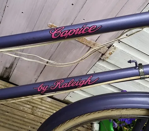 Pink script transfers reading Caprice on one tube and by Raleigh on the other, on purple paint