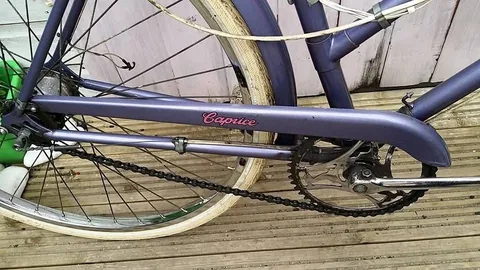 Purple chainguard with Caprice in pink script