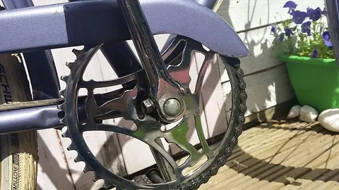 Steel chainring and crank under the purple chainguard