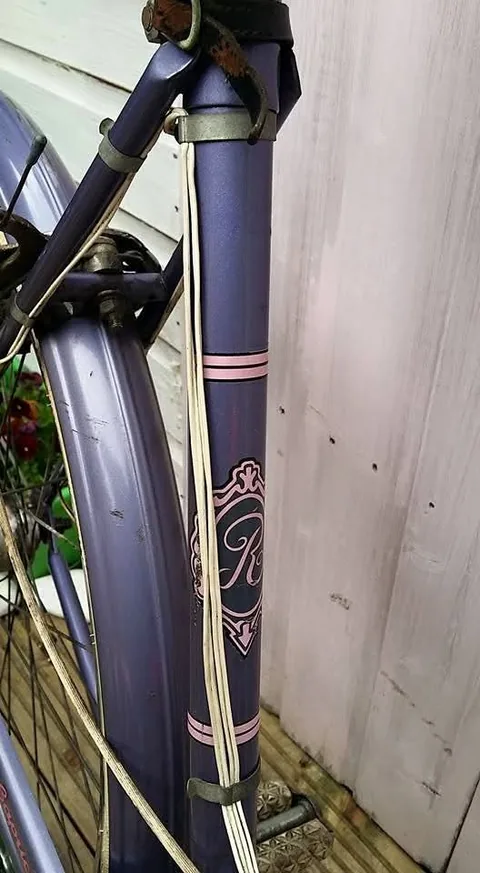 Seat tube with pink pinstripes and an R crest transfer