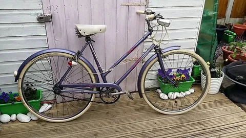 Purple Raleigh Caprice ladies' bicycle with cream tyres, a white sprung saddle and a square headlamp