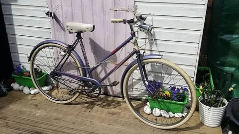 The purple Caprice from the front three-quarter, against a shed