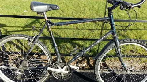 Black Raleigh mountain bike against railings