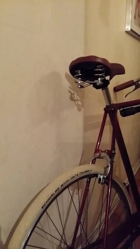 Brown sprung saddle above a cream tyre marked Schwalbe Delta Cruiser