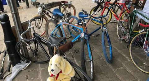 A line-up of old bikes on cobbles, with a toy dog on a saddle