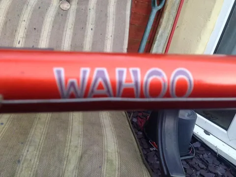 Orange top tube with Wahoo in outlined lettering